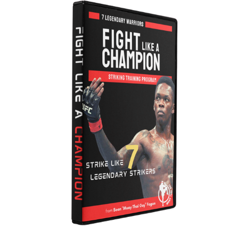 [NEW!] Fight Like A Champion: Heavy Bag Workouts