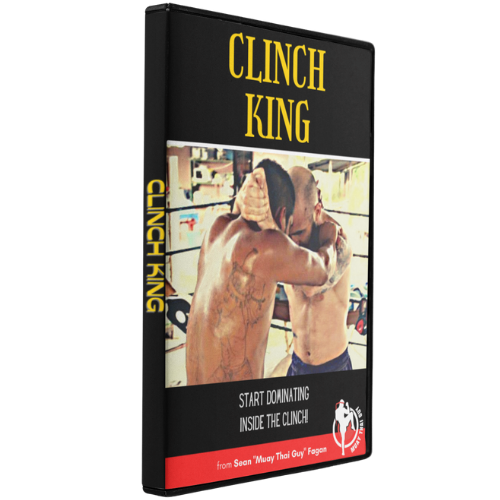 5 Areas To Improve In Your MMA Clinch Game