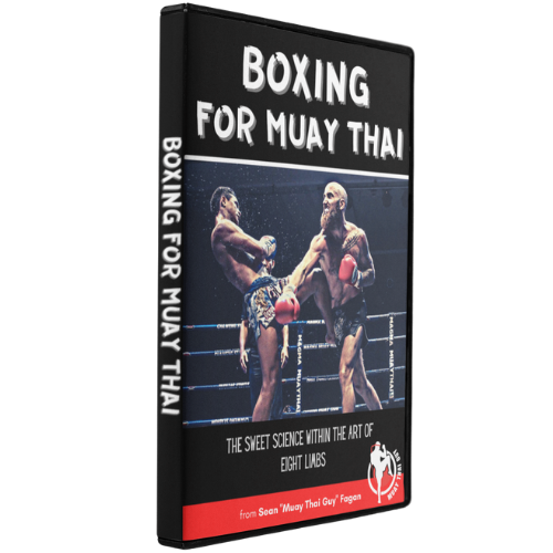 Muay Thai - Thai Boxing, The Art of Eight Limbs